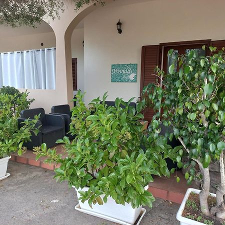 Bed and Breakfast Mivida "Le Stanze Di Ada" San Teodoro  Exteriér fotografie