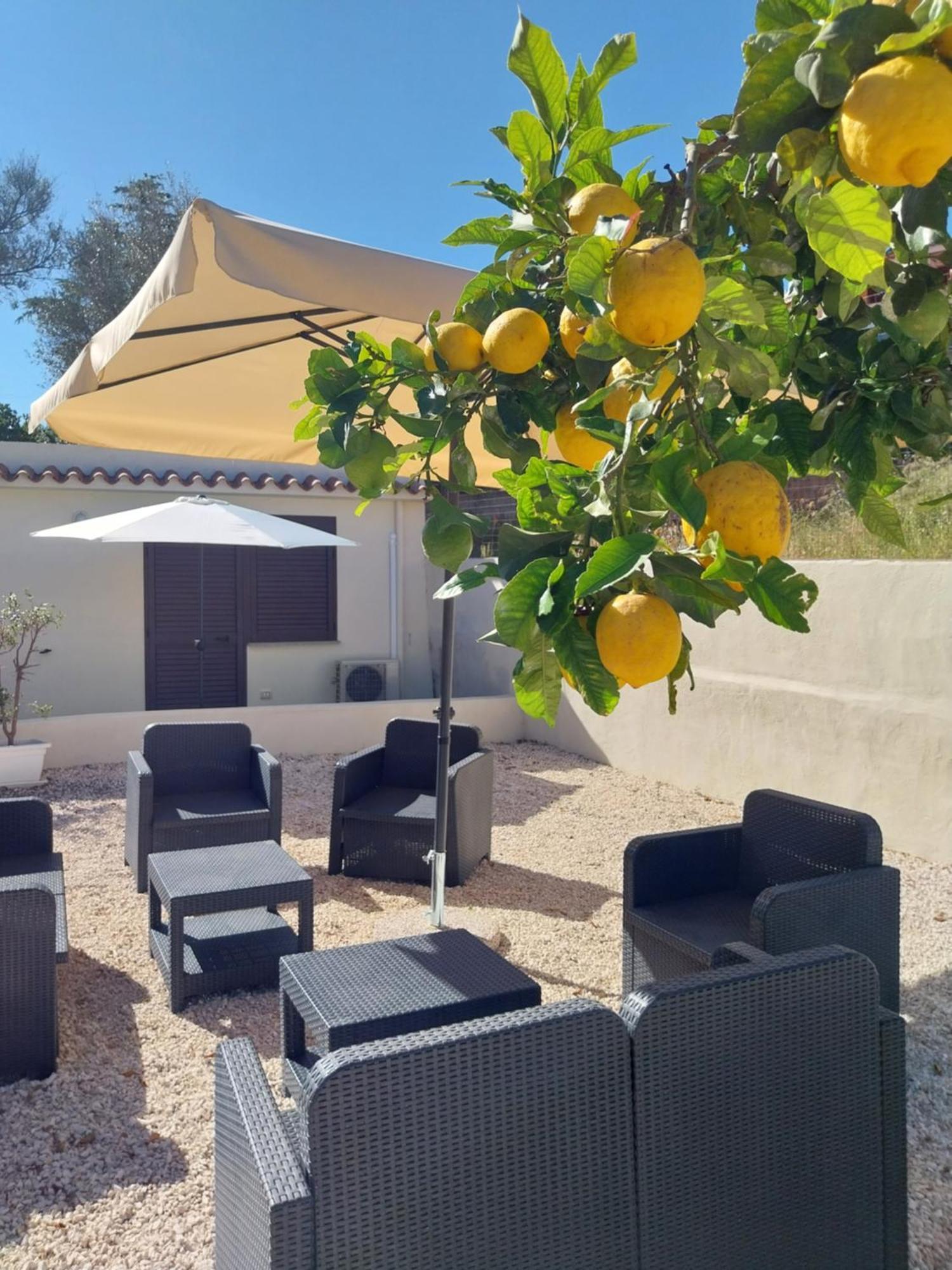 Bed and Breakfast Mivida "Le Stanze Di Ada" San Teodoro  Exteriér fotografie